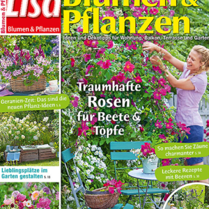 Lisa Blumen & Pflanzen, Abo, Cover 2024