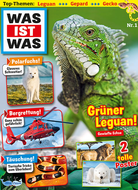 Cover, Was ist was, Magazin, Abo