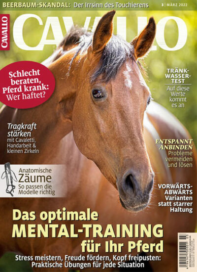 Magazin Cover Cavallo