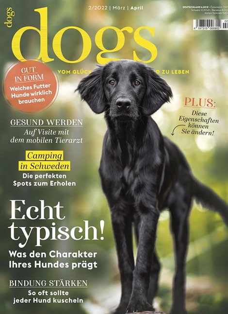 Magazin Cover, Dogs